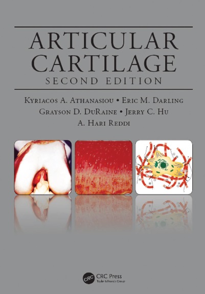 Articular Cartilage PDF