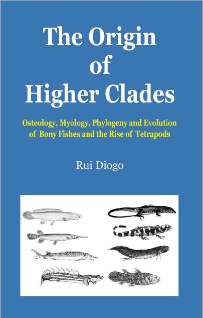 The Origin of Higher Clades PDF