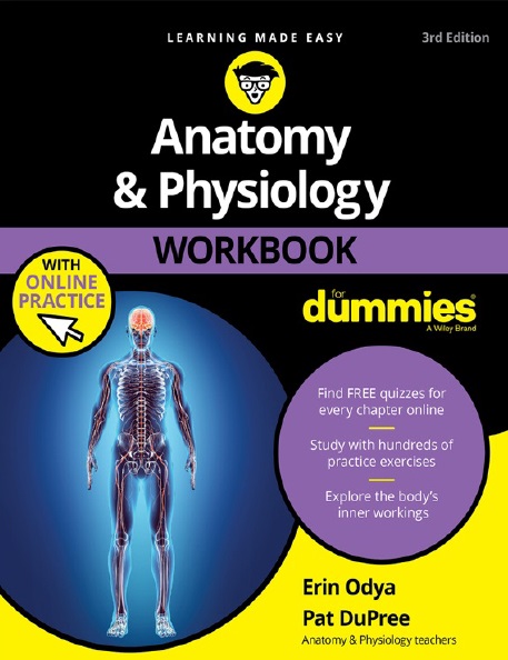 Anatomy and Physiology Workbook PDF