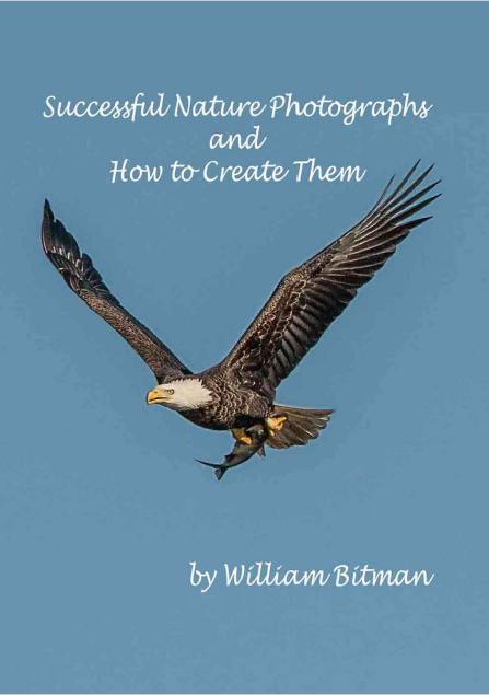 Successful Nature Photographs and How To Create Them PDF
