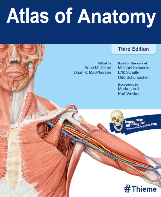 Atlas of Anatomy 3rd Edition PDF