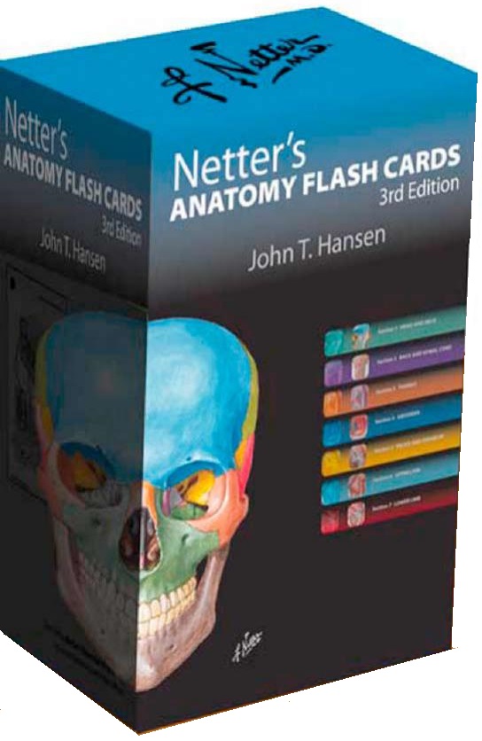 Netter's Anatomy Flash Cards 3rd Edition PDF