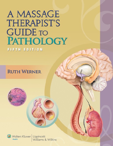 A Massage Therapist's Guide to Pathology PDF