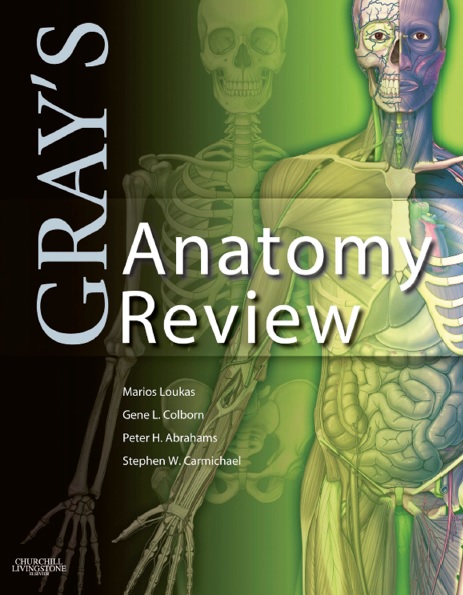 Gray's Anatomy Review PDF
