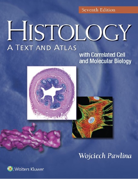 Histology: A Text and Atlas: With Correlated Cell and Molecular Biology 7th Edition PDF