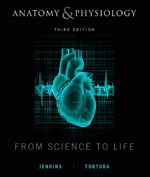 Anatomy and Physiology From Science to Life PDF