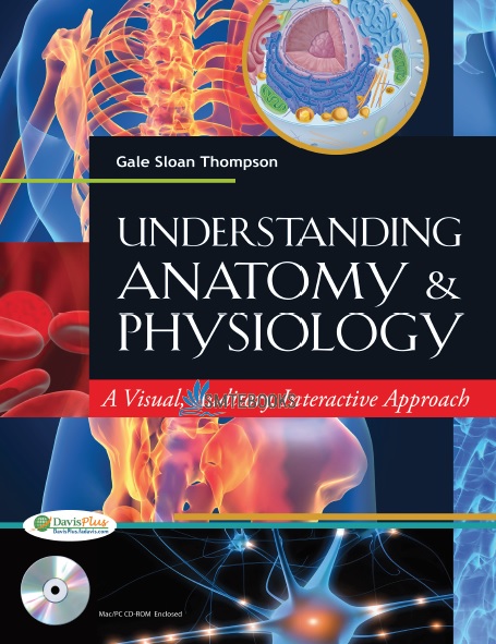 Understanding Anatomy and Physiology PDF