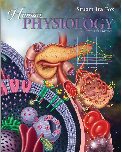 Human Physiology PDF