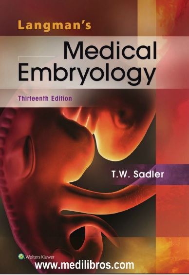 Langman's Medical Embryology 13th Edition PDF