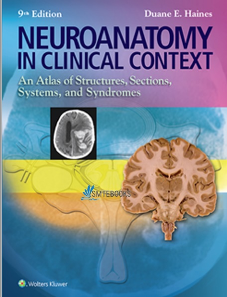 Neuroanatomy in Clinical Context 9th Edition PDF