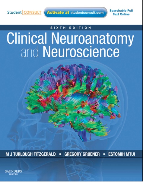Clinical Neuroanatomy and Neuroscience 6th Edition PDF