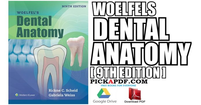 Woelfels Dental Anatomy PDF
