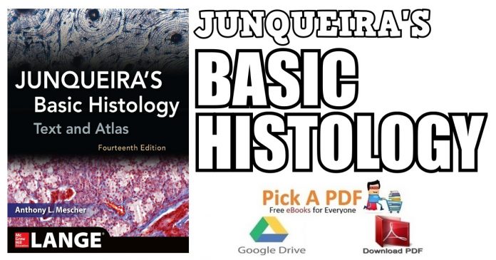 Junqueira's Basic Histology: Text and Atlas 14th Edition PDF
