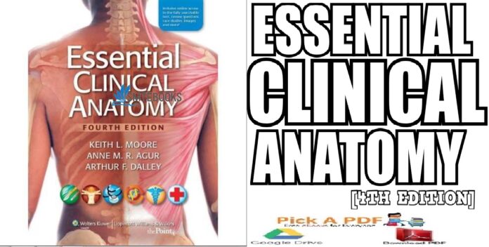 Essential Clinical Anatomy, 4th Edition PDF