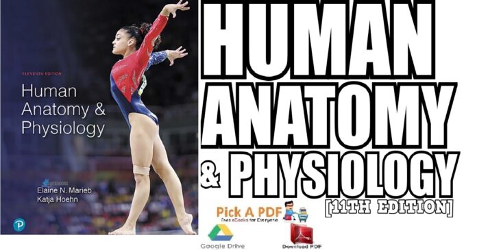 Human Anatomy & Physiology 11th Edition PDF