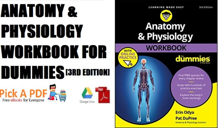 Anatomy and Physiology Workbook For Dummies 3rd Edition PDF Free Download