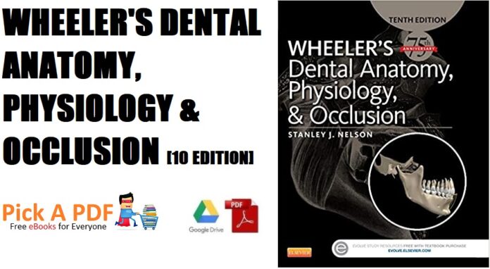 Wheeler's Dental Anatomy, Physiology and Occlusion 10th Edition PDF Free Download